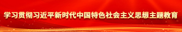 试看十分钟艹逼学习贯彻习近平新时代中国特色社会主义思想主题教育